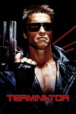 The Terminator (1984) 380MB
