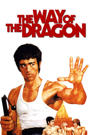 The Way of the Dragon (1972) 300MB